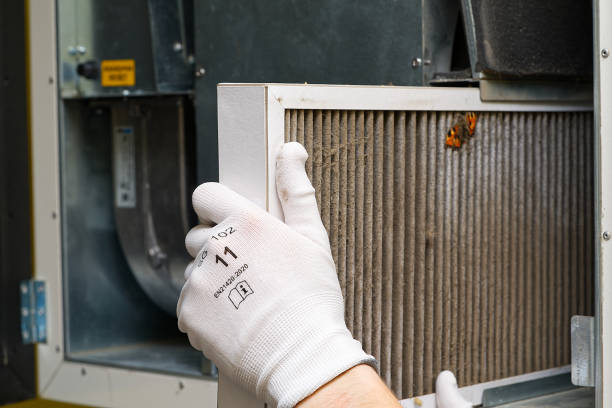 Best Air Duct Cleaning Near Me  in Yaeyville, NC