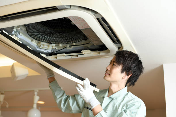 Best Air Duct Cleaning Company Near Me  in Yaeyville, NC