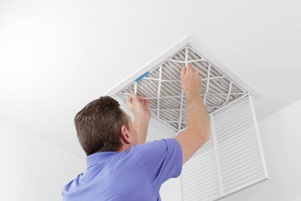 Best HVAC Duct Inspection Services  in Yaeyville, NC